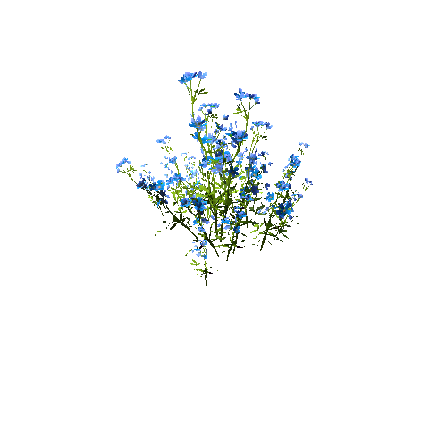 FlowersClump_Blue A (Optimized)
